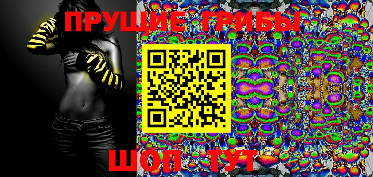 Ростов-на-Дону  Псилоцибиновые грибы Psilocybe  Вход с VPN 